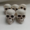halloween mini Skull Heads Skull Decor- 6pcs