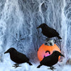 Halloween Realistic Black Raven for Halloween Small Statue