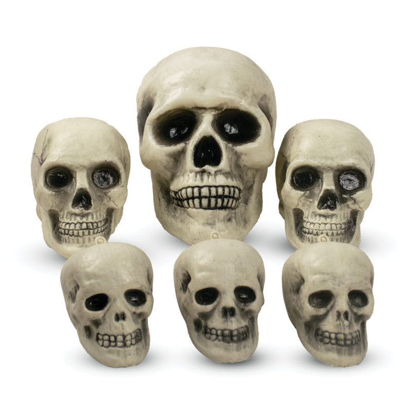 Halloween Decoration - Creepy Assorted Skulls - 6pcs