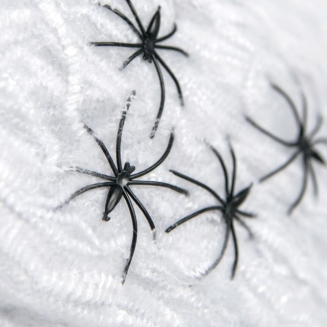 HaHalloween Decoration - Creepy Black Spiders W/ White Spider Web - 8pcs