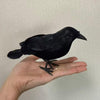 Halloween Realistic Black Raven for Halloween Small Statue