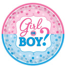 GIRL OR BOY? 10inch ROUND PAPER PLATES