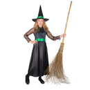 Storybook Witch Costume