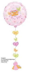 SESAME BEGINNING BALLOON